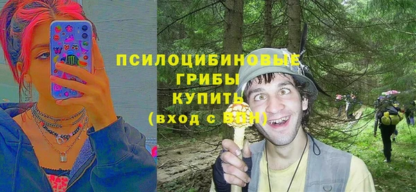 бошки Арсеньев