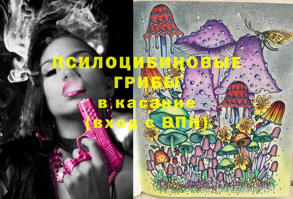 бошки Арсеньев